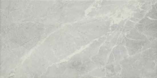 10X20 Mica | Marino Tile NY