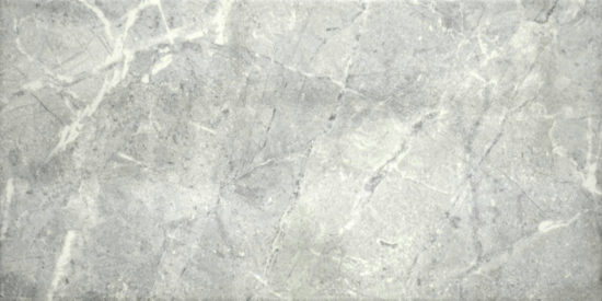10X20 Mica | Marino Tile NY