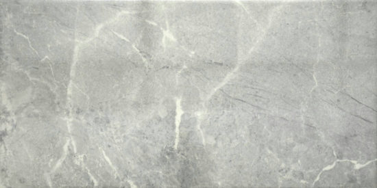 10X20 Mica | Marino Tile NY