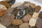 12X12 Flat Bora Wilderness | Marino Tile NY