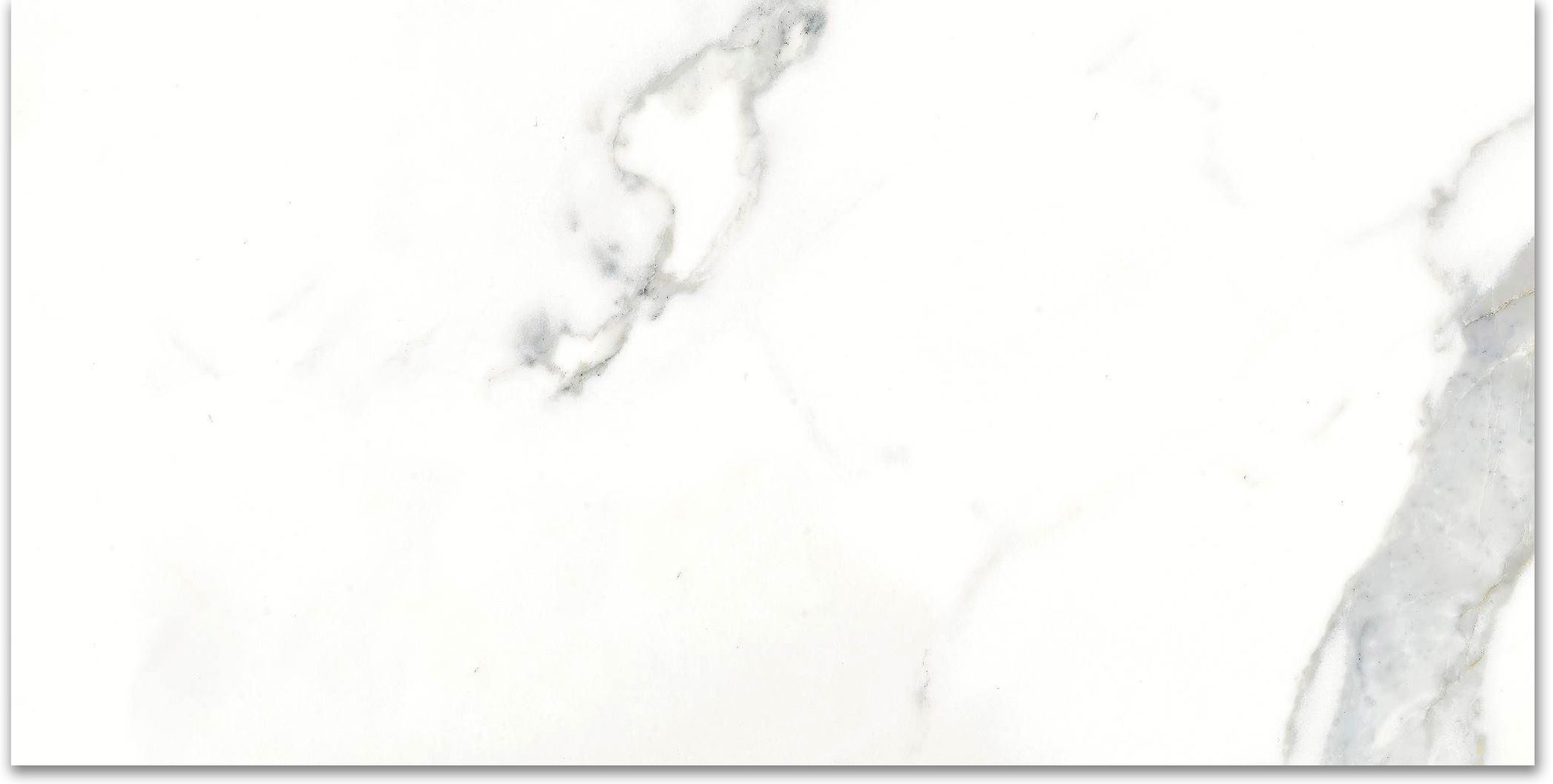 12X24F Calacatta | Marino Tile NY