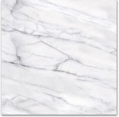 18X18F Carrara | Marino Tile NY