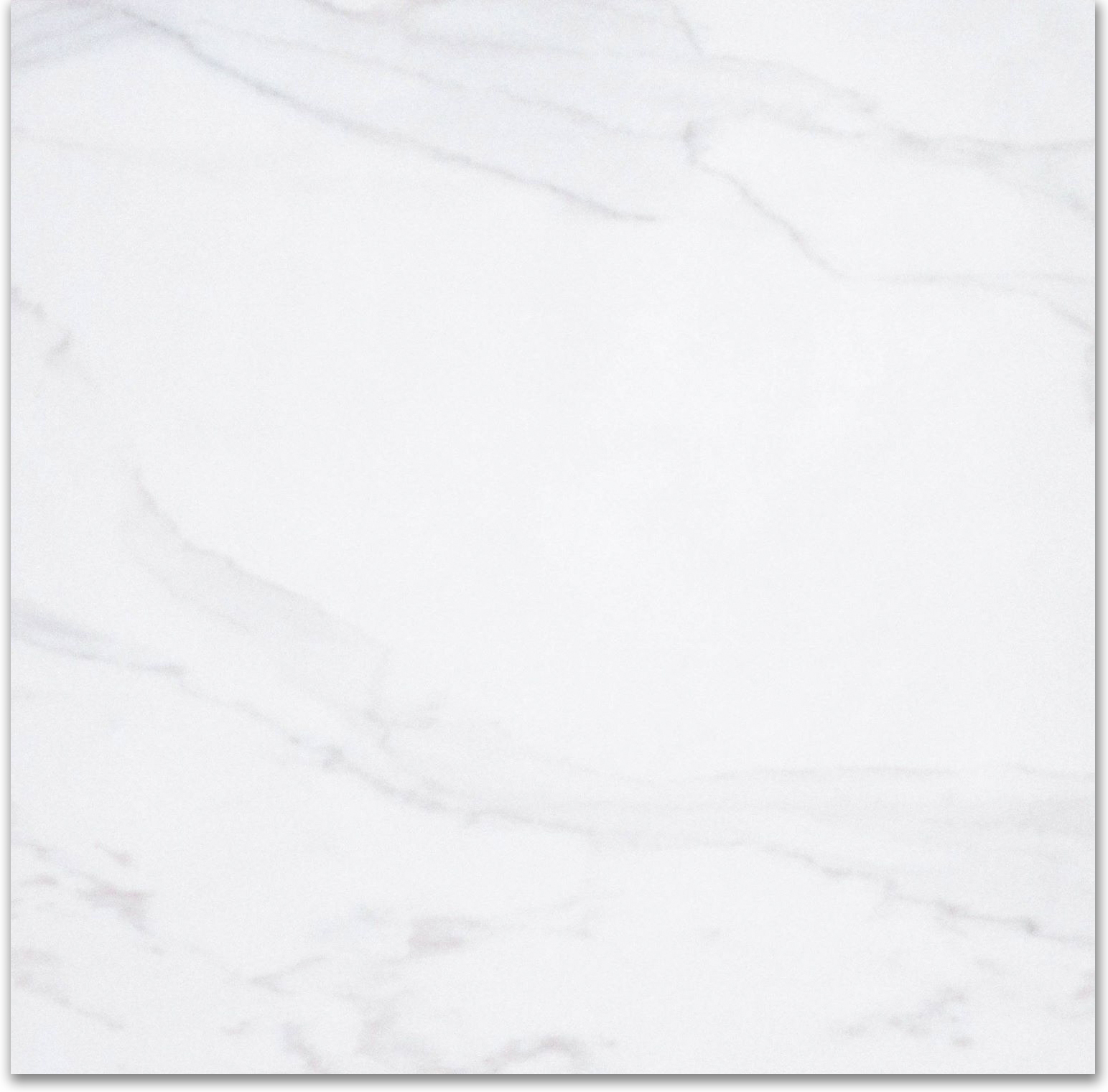 24X24F Calacatta | Marino Tile NY