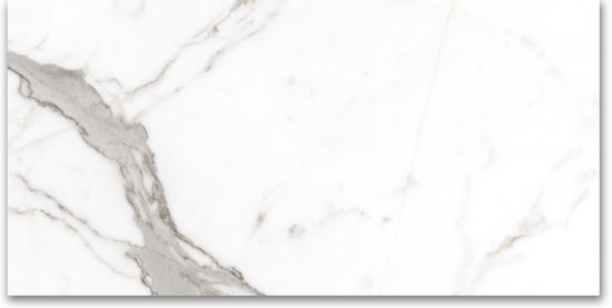 24X48 Polished Amore Grey | Marino Tile NY