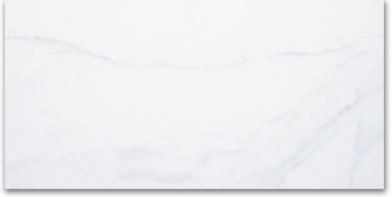 24X48F Calacatta | Marino Tile NY