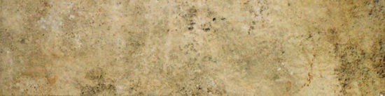 3X12 Beige Bullnose | Marino Tile NY