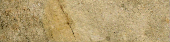 3X12 Beige Bullnose | Marino Tile NY