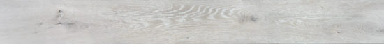 4562-Seashell | Marino Tile NY
