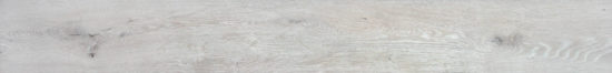 4562-Seashell | Marino Tile NY