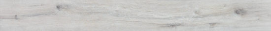 4562-Seashell | Marino Tile NY