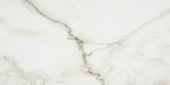 Amalfi Calacatta Honed 12X24 | Marino Tile NY