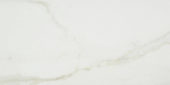 Amalfi Calacatta Honed 12X24 | Marino Tile NY