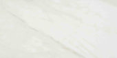 Amalfi Calacatta Honed 12X24 | Marino Tile NY