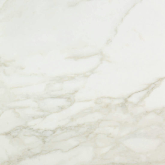 Amalfi Calacatta Honed 24X24 | Marino Tile NY