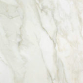 Amalfi Calacatta Honed 24X24 | Marino Tile NY