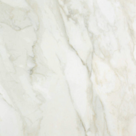 Amalfi Calacatta Honed 24X24 | Marino Tile NY