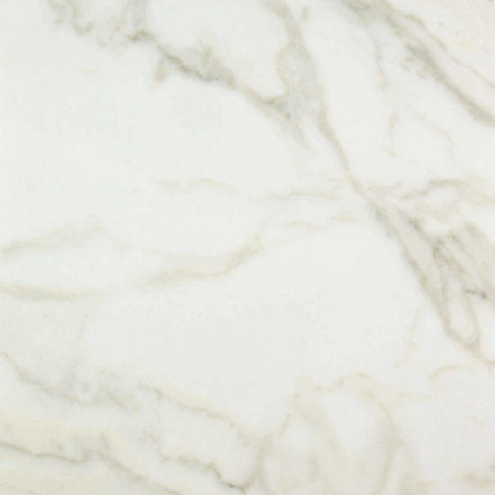 Amalfi Calacatta Honed 24X24 | Marino Tile NY