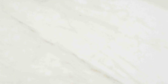 Amalfi Calacatta Honed 24X48 | Marino Tile NY