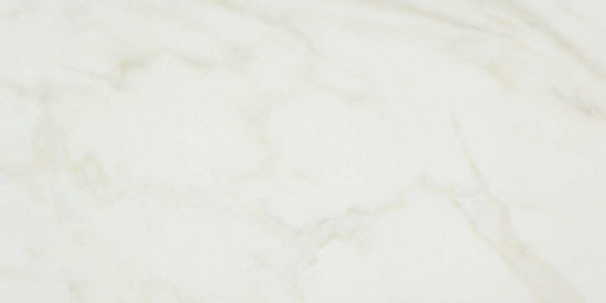 Amalfi Calacatta Honed 24X48 | Marino Tile NY