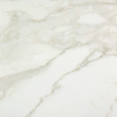 Amalfi Calacatta Honed 32X32 | Marino Tile NY