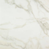Amalfi Calacatta Honed 32X32 | Marino Tile NY