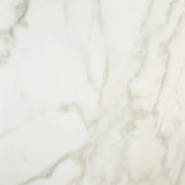 Amalfi Calacatta Honed 32X32 | Marino Tile NY