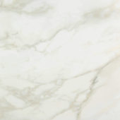 Amalfi Calacatta Polished 24X24 | Marino Tile NY