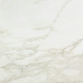 Amalfi Calacatta Polished 24X24 | Marino Tile NY