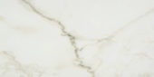 Amalfi Calacatta Polished 24X48 | Marino Tile NY