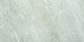 Amur 12X24 | Marino Tile NY