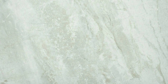 Amur 12X24 | Marino Tile NY