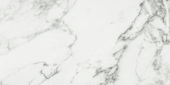 Arabescato Verona Honed 12X24 | Marino Tile NY