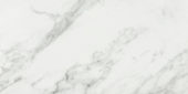 Arabescato Verona Honed 12X24 | Marino Tile NY