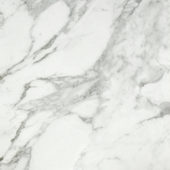 Arabescato Verona Honed 24X24 | Marino Tile NY