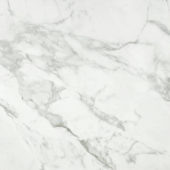 Arabescato Verona Honed 24X24 | Marino Tile NY