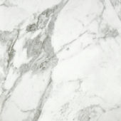 Arabescato Verona Honed 24X24 | Marino Tile NY