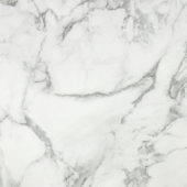 Arabescato Verona Honed 24X24 | Marino Tile NY