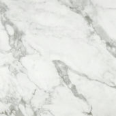 Arabescato Verona Honed 24X24 | Marino Tile NY