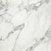 Arabescato Verona Honed 32X32 | Marino Tile NY