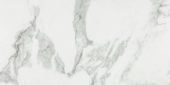 Arabescato Verona Polished 12X24 | Marino Tile NY