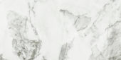 Arabescato Verona Polished 12X24 | Marino Tile NY