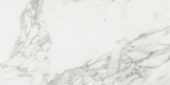Arabescato Verona Polished 12X24 | Marino Tile NY