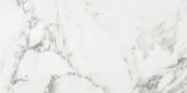 Arabescato Verona Polished 12X24 | Marino Tile NY