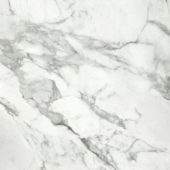 Arabescato Verona Polished 32X32 | Marino Tile NY
