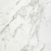 Arabescato Verona Polished 32X32 | Marino Tile NY