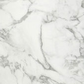 Arabescato Verona Polished 32X32 | Marino Tile NY
