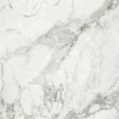 Arabescato Verona Polished 32X32 | Marino Tile NY