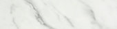 Arabescato Verona Polished 3X12 Bullnose | Marino Tile NY