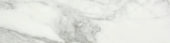 Arabescato Verona Polished 3X12 Bullnose | Marino Tile NY