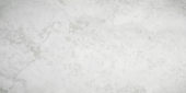 Argento 12X24 | Marino Tile NY